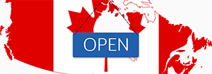 top immigration agents in India for canada